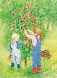 Appels plukken, Marjan van Zeyl