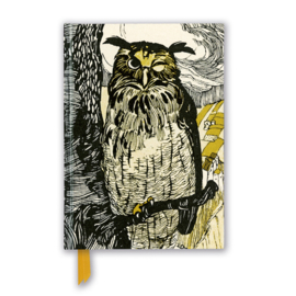 Winking Owl, A Flame Tree Blank Notebook
