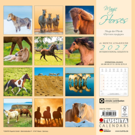 Magic Horses, 30x30cm maandkalender 2027