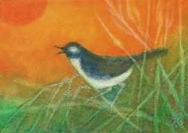 Graspieper, Jula Scholzen- Gnad