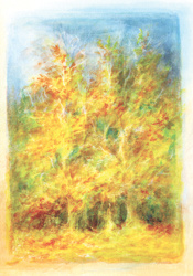 Herfstbomen, oktober, David Newbatt