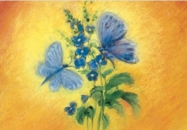 Blauwe vlinders, Marjan van Zeyl