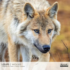 Wolves, 30x30cm maandkalender 2027