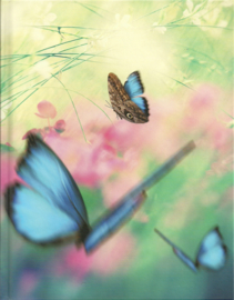 Blankbook Tushita, blauwe vlinders