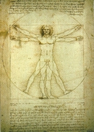 Studie van het menselijk lichaam, Leonardo da Vinci, poster