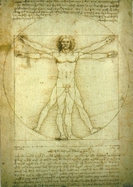 Studie van het menselijk lichaam, Leonardo da Vinci