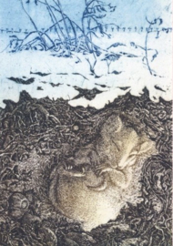 Winterslaap, Yolanda Eveleens