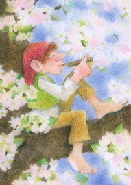 Appelbloesem, Sanne Dufft