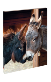 Blankbook Tushita, Donkeys