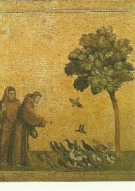 Franciscus predikt tot de vogels, Giotto