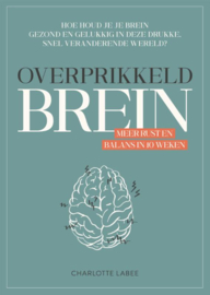 Overprikkeld brein / Charlotte Labee