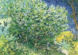 Seringenstruik, Vincent van Gogh