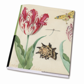 Schrift Twee Tulpen en een Schelp, Jacob Marrel