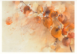 Lampionplant, Kerstin Prewo