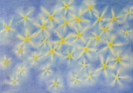 Sterren Kerstmis, M. Reichert, A5 met envelop