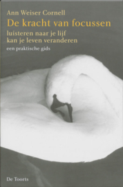 De kracht van focussen / Ann Weiser Cornell