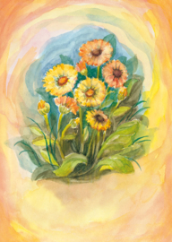 Goudsbloem, Margret von Borstel