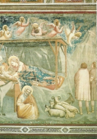 Geboorte, Giotto