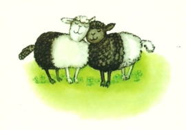 Twee schapen, Petra Szabo