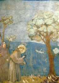 Franciscus predikt tot de vogels, Giotto DIN A4