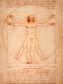Studie van het menselijk lichaam, Leonardo da Vinci, poster 30x40 cm