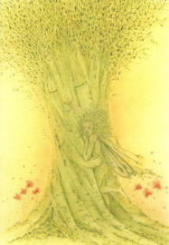 Zomerse omhulling, Pauline Meijer