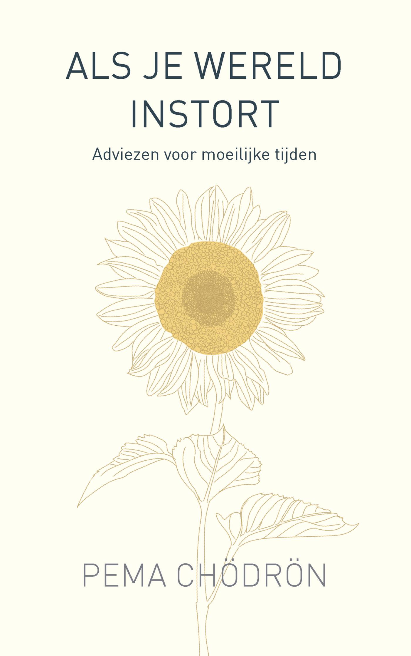 Als je wereld instort / Pema Chodron