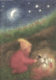 Dwerg in de nacht, Stefan Schmidt