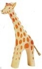 Giraffe Groot Rennend