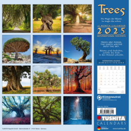 Trees,  Kalender 2025