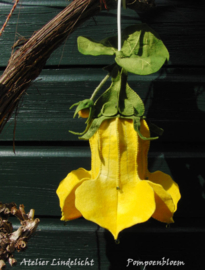 Pompoenbloem voor basislampje (zelfmaakpakketje)