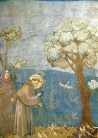 Franciscus predikt tot de vogels, Giotto