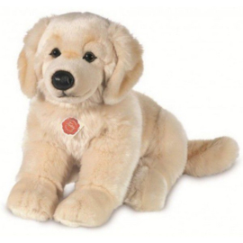 Hond Golden retriever, zittend ( 25 cm)