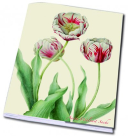 Schrift Tulp, Anita Walsmit Sachs