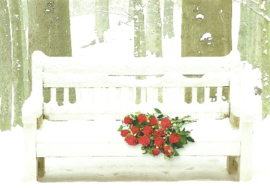 Bank met rozen in sneeuw, Jan Lens