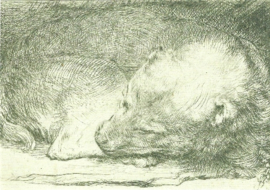 Slapend hondje, Rembrandt