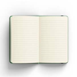 Compact Journal Peter Pauper Celtic
