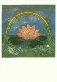 Regenboog en lotusbloem, Diana Khan