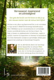 Beleef het bos / Peter Wohlleben