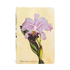 Brazilian Orchid Mini, notebook Paperblanks