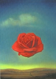 Meditatieve roos, Salvador Dali, dubbele kaart