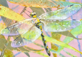 Libelle II, Loes Botman