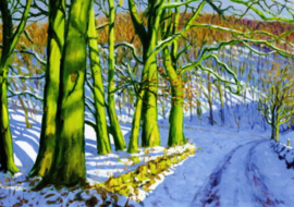 Groene bomen in de winter, Andrew Macara