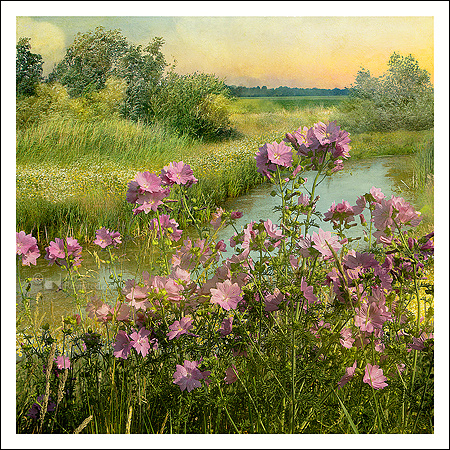 Landschapsbloemen, Saskia Boelsums
