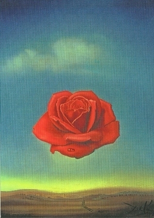 Meditatieve roos, Salvador Dali
