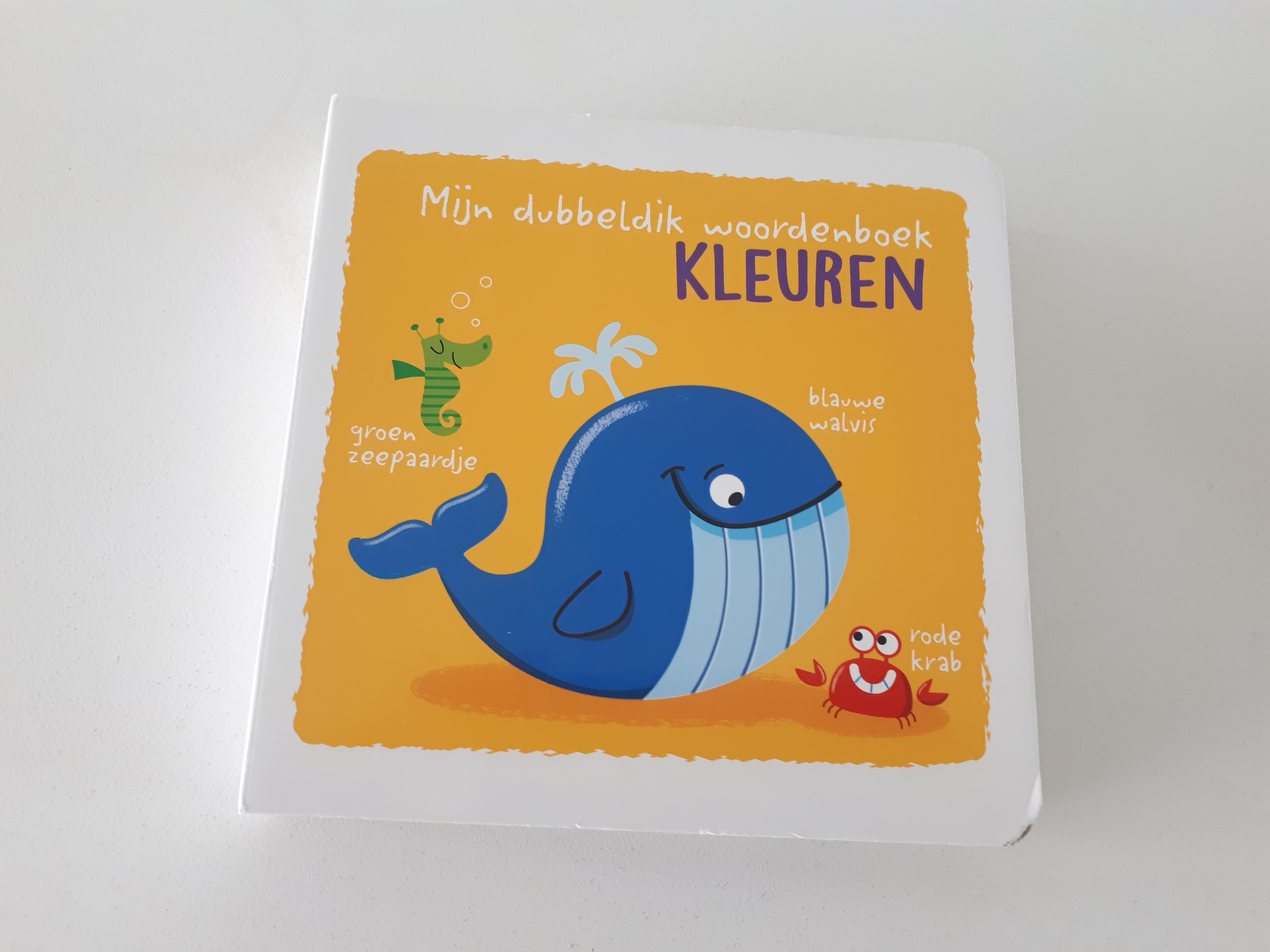 Mijn dubbeldik woordenboek Kleuren