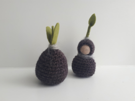 wortelkindje + bloembol
