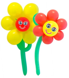 Flowers DIY balloon kit