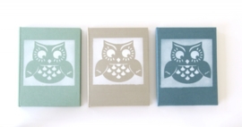 Notebook Spring - Owl Framed