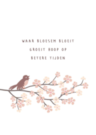 bloesem